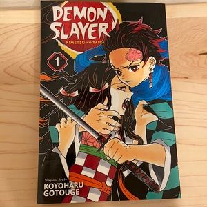Demon Slayer Vol. 1 manga